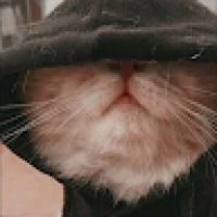 Rounded avatar