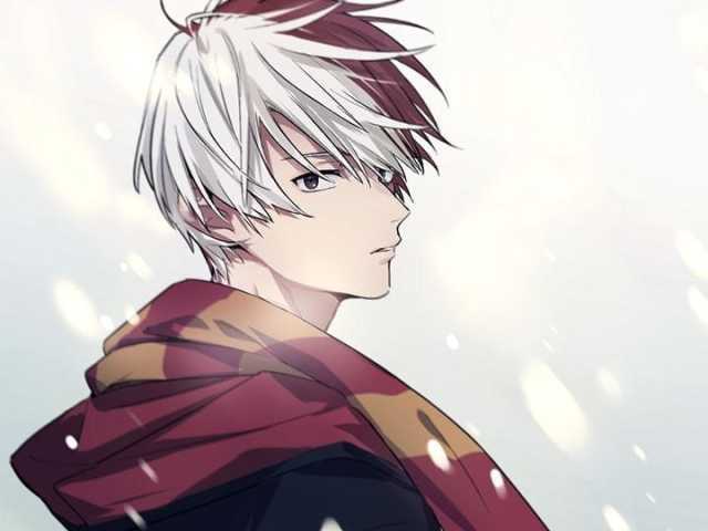 Shoto Todoroki