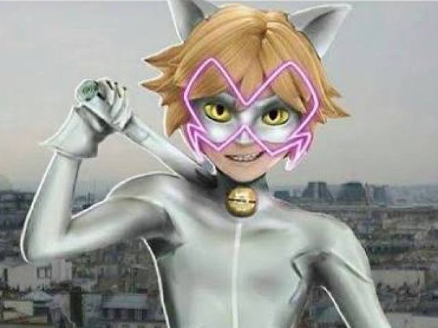 Cat Noir ( chat blanc )