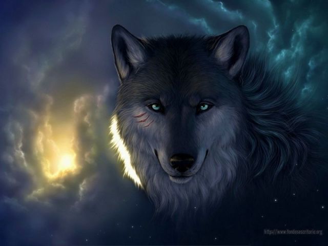 Lobo