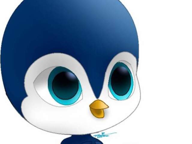 Kwami do pinguim