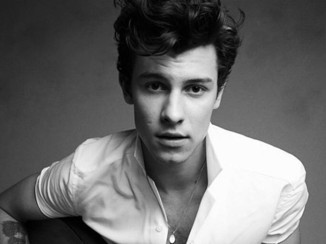 Você é mesmo fã do Shawn Mendes?