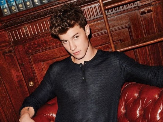 Você realmente conhece Shawn Mendes?