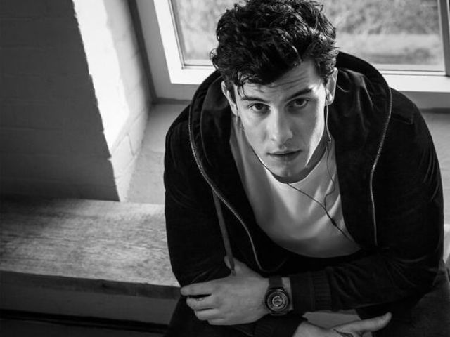 shawn mendes