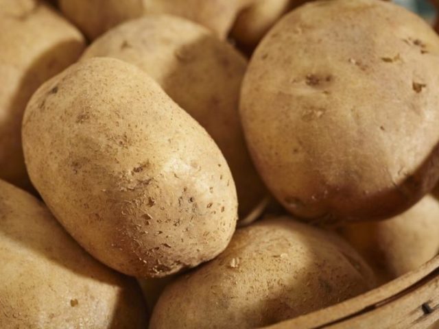 Batata Baraka