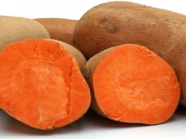 Batata Yacon