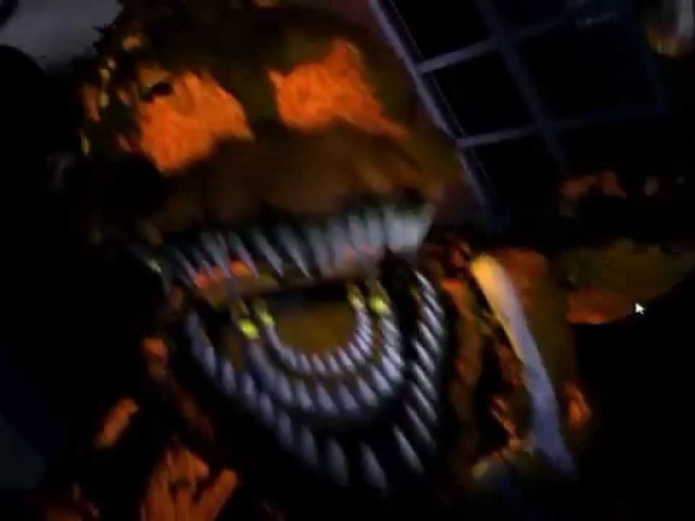 JACK O CHICA