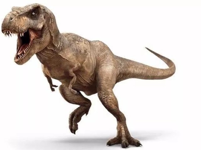 Tiranossauro Rex