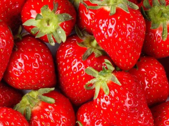 Morango