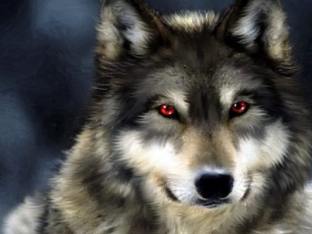 Lobo