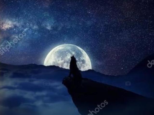 Noite