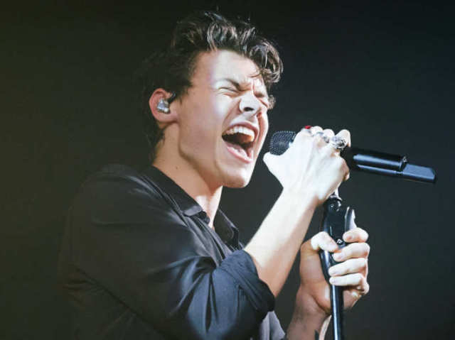 Você conhece Harry Styles?