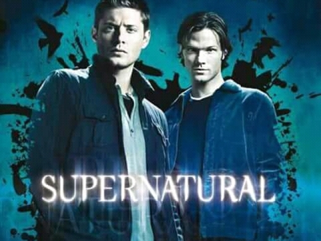 Resultados do quiz de spn