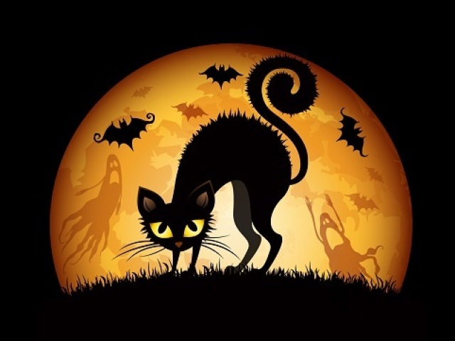 Gato Preto