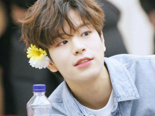 Você tirou Seungmin!