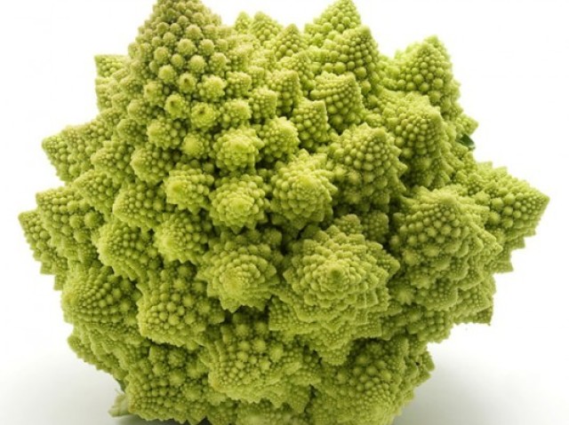 Broccoli romanesco