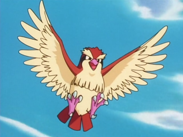 Pidgey