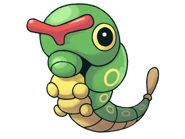 Caterpie