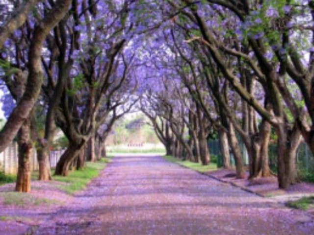 Praça ( em um lugar calmo)