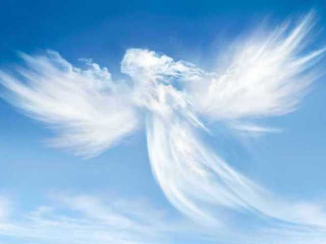 Anjo da Guarda