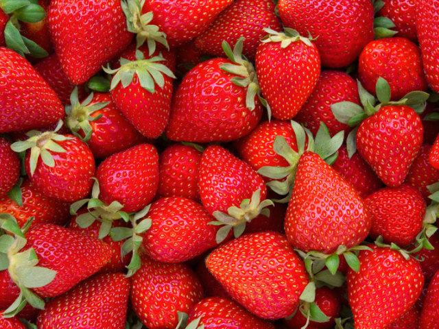 Morango