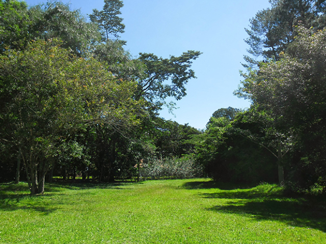 UM BELO PARQUE PARA SUBIR NAS ARV....