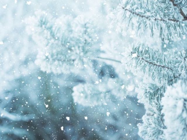 Neve