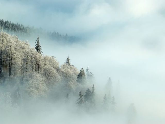 Neblina
