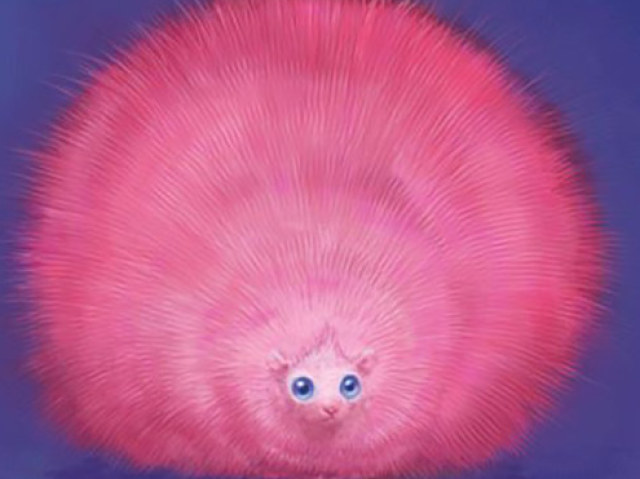 Pygmy Puff