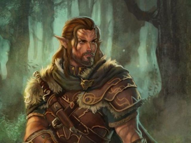 Elfo da Floresta