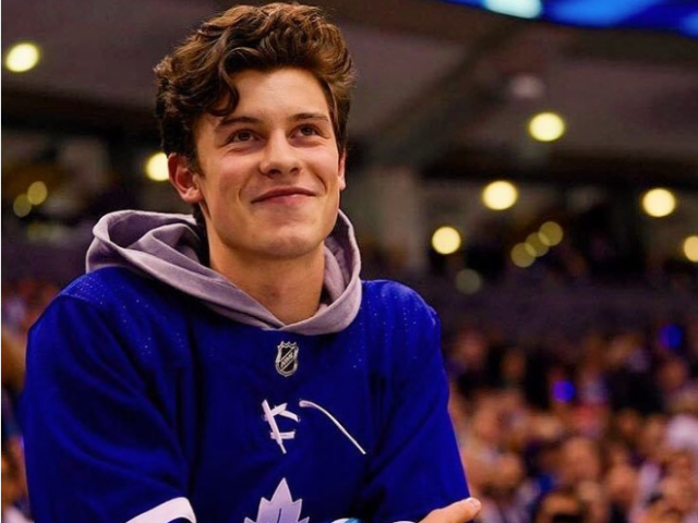 Você conhece mesmo o Shawn Mendes?