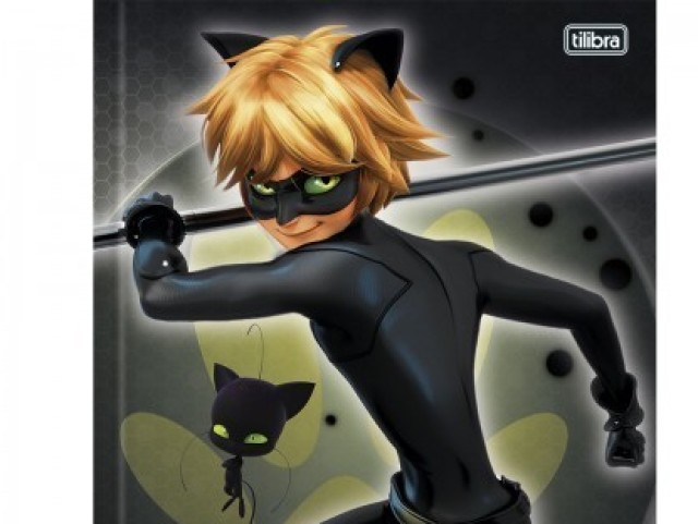 Cat noir