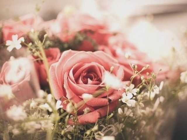 Rosa