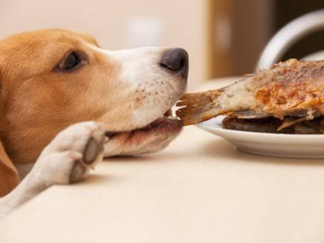 Qual sabor mais combina com você?