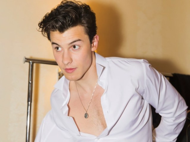 Você conhece Shawn Mendes?