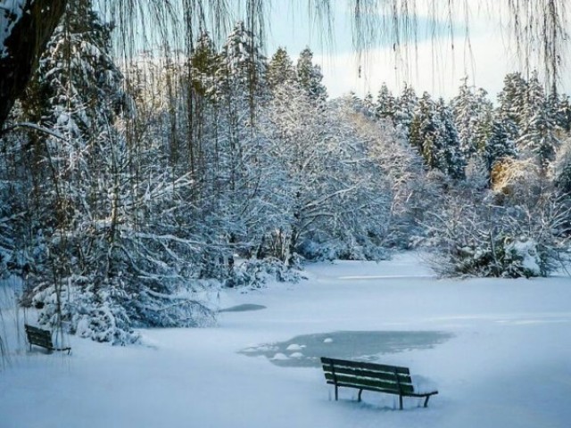 tomar um cafezinho no inverno em Vancouver