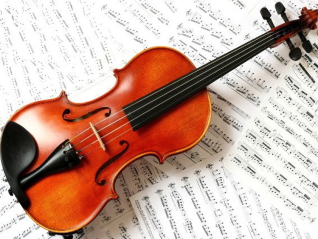 Violino