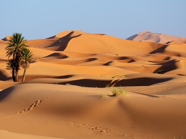 Deserto