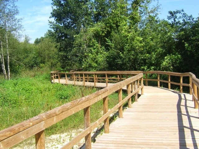 Passear calmamente num passadisso na linda natureza