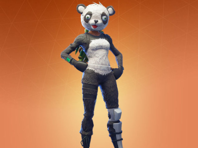 P.A.N.D.A Team Leader