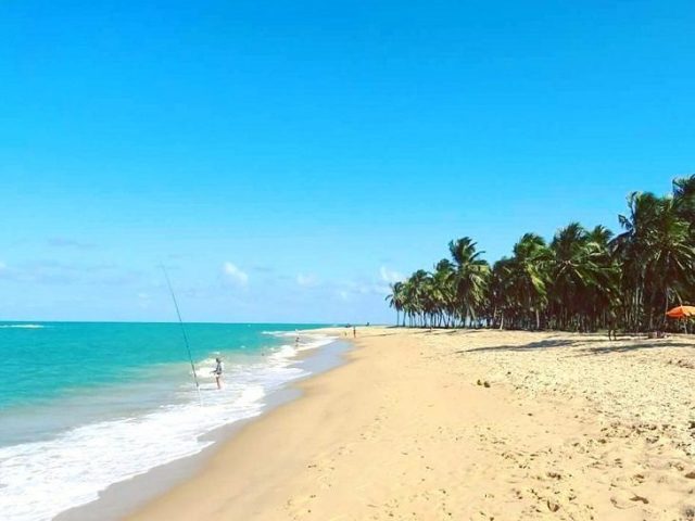 praia em um lugar calmo com paisagem da natureza