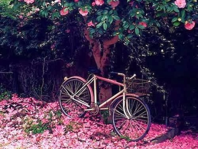 um lugar bem florido e colorido