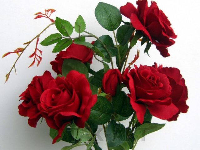 Rosas