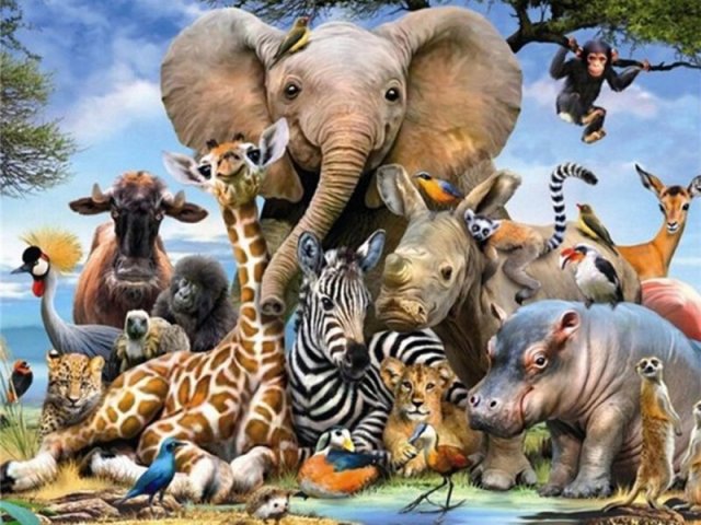 Qual animal você é por dentro?