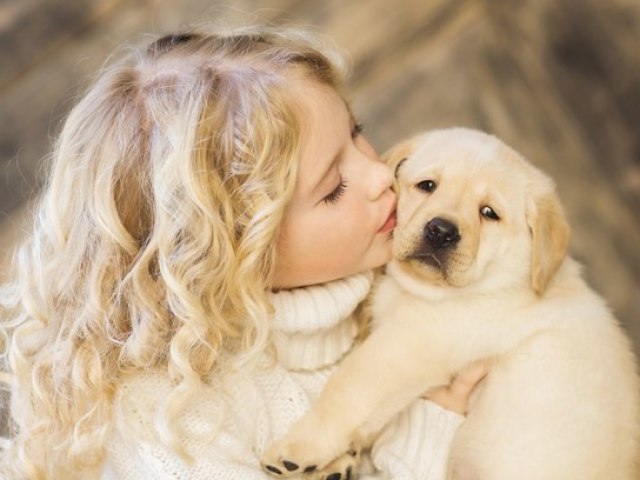 Qual animal de estimação mais combina com a sua personalidade?
