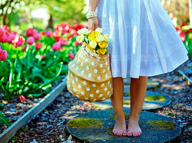 Primavera