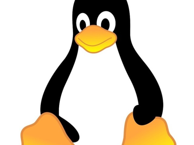 Linux