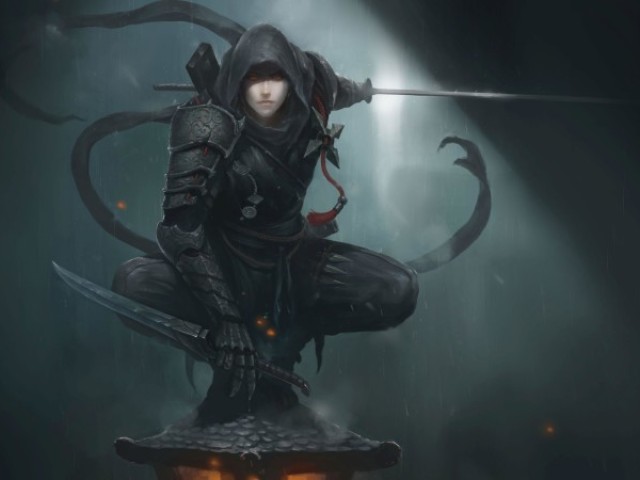 Ninja