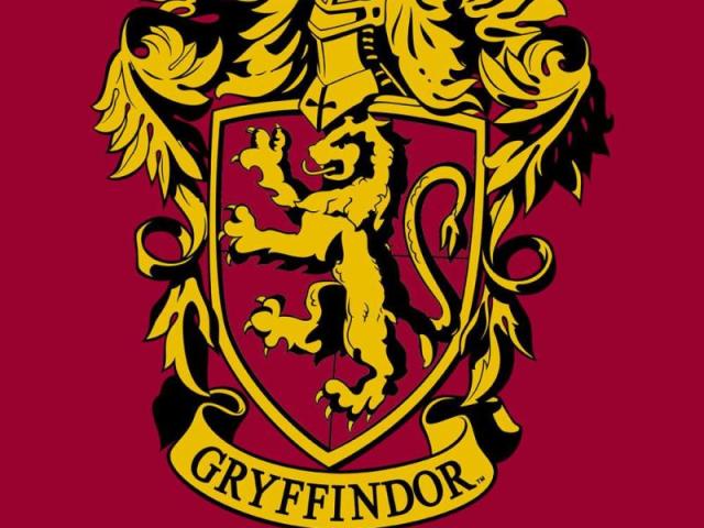 És realmente um fã de harry potter?