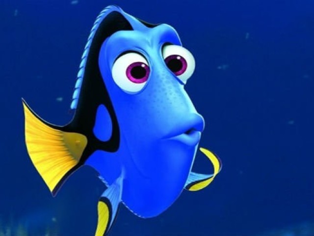 Dory